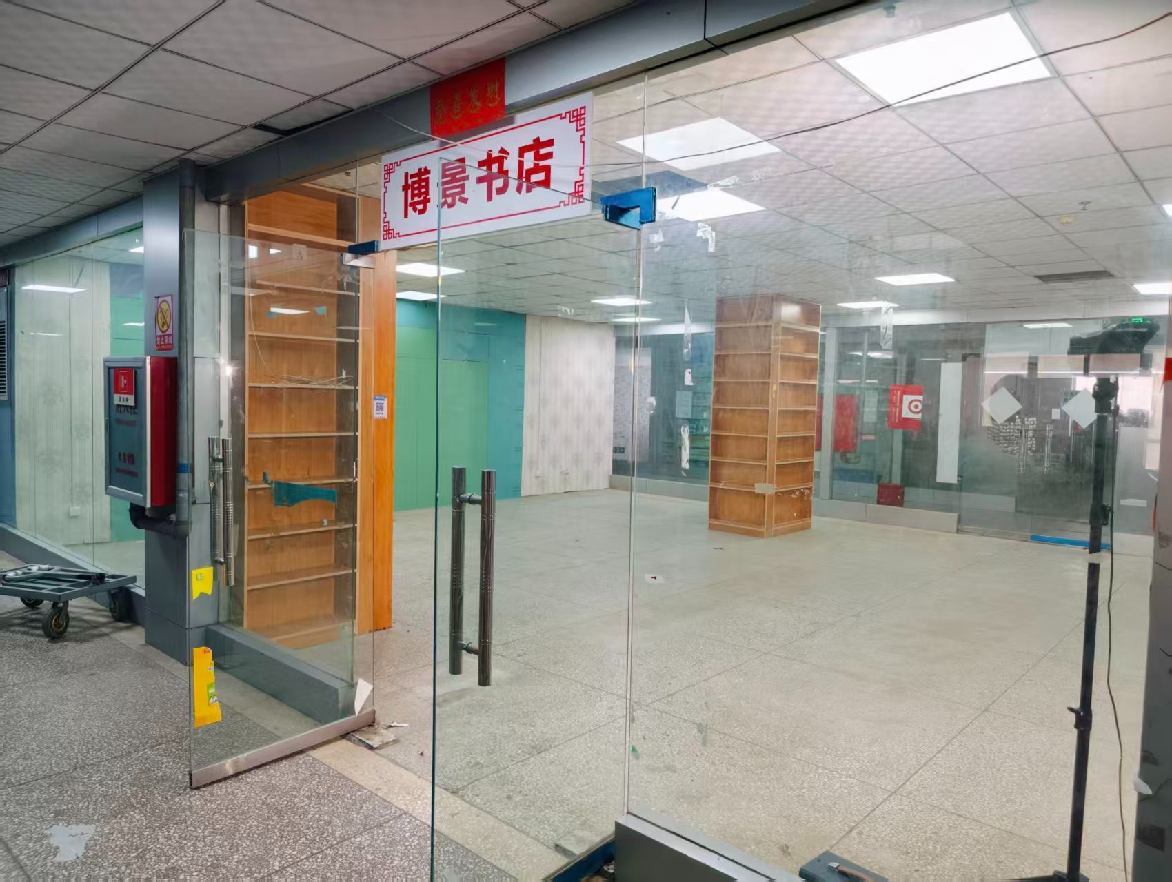 五洲路AI浪潮已至,优质企业抢先布局